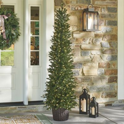 Pre-lit Porch Pencil Tree | Grandin Road
