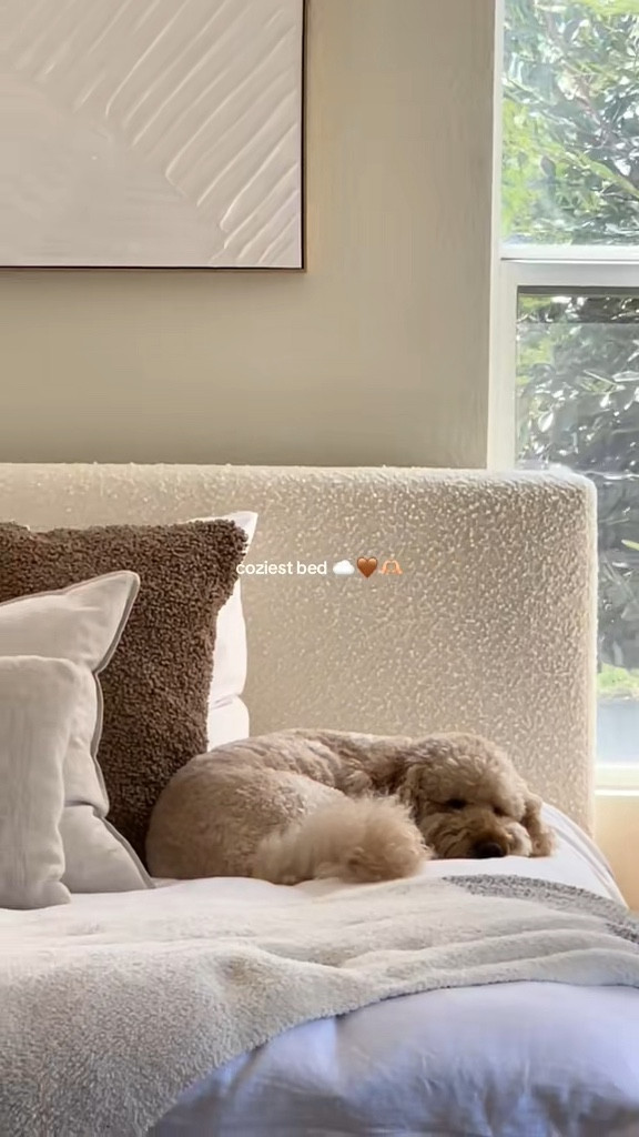 The coziest bed from Wayfair is on sale now 🤍 this boucle bed gives major cloud like vibes ☁️ 

#LTKHome