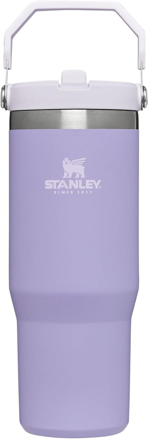 STANLEY IceFlow Stainless Steel Tumbler with Straw, Vacuum Insulated Water Bottle for Home, Offic... | Amazon (US)
