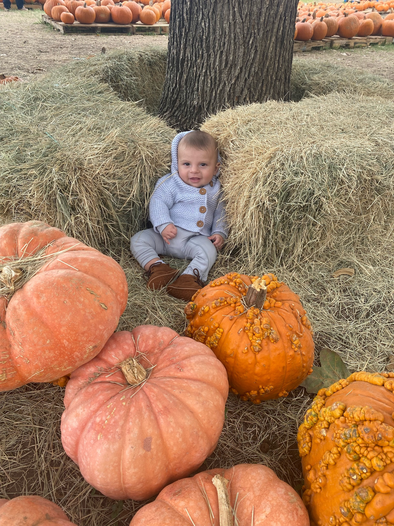 #LTKSeasonal #LTKbaby #LTKfamily