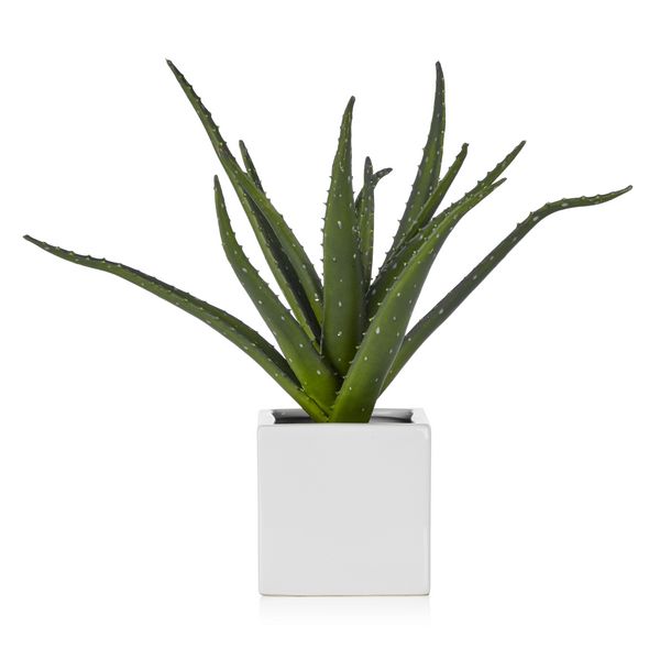 Faux Aloe Plant | Z Gallerie