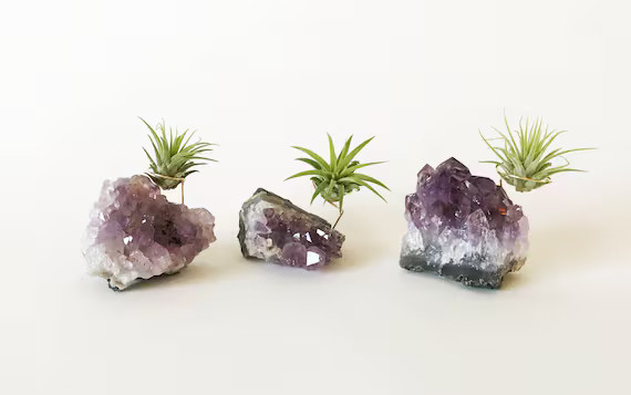 Amethyst Cluster, Geode, Air Plants, Fairy Garden, Gift for Her, Gift for Mom, Amethyst Geode, Gi... | Etsy (US)