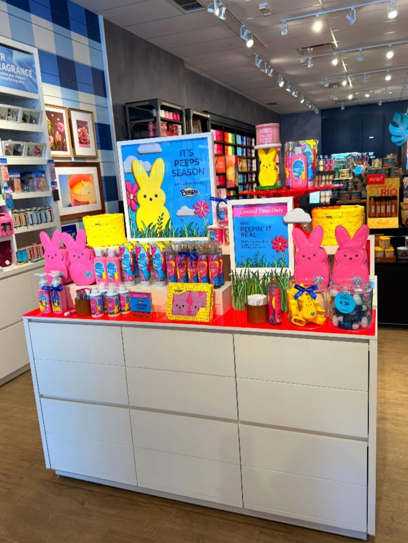 The next big thing✨🐰

#LTKSaleAlert #LTKSpringSale #LTKSeasonal