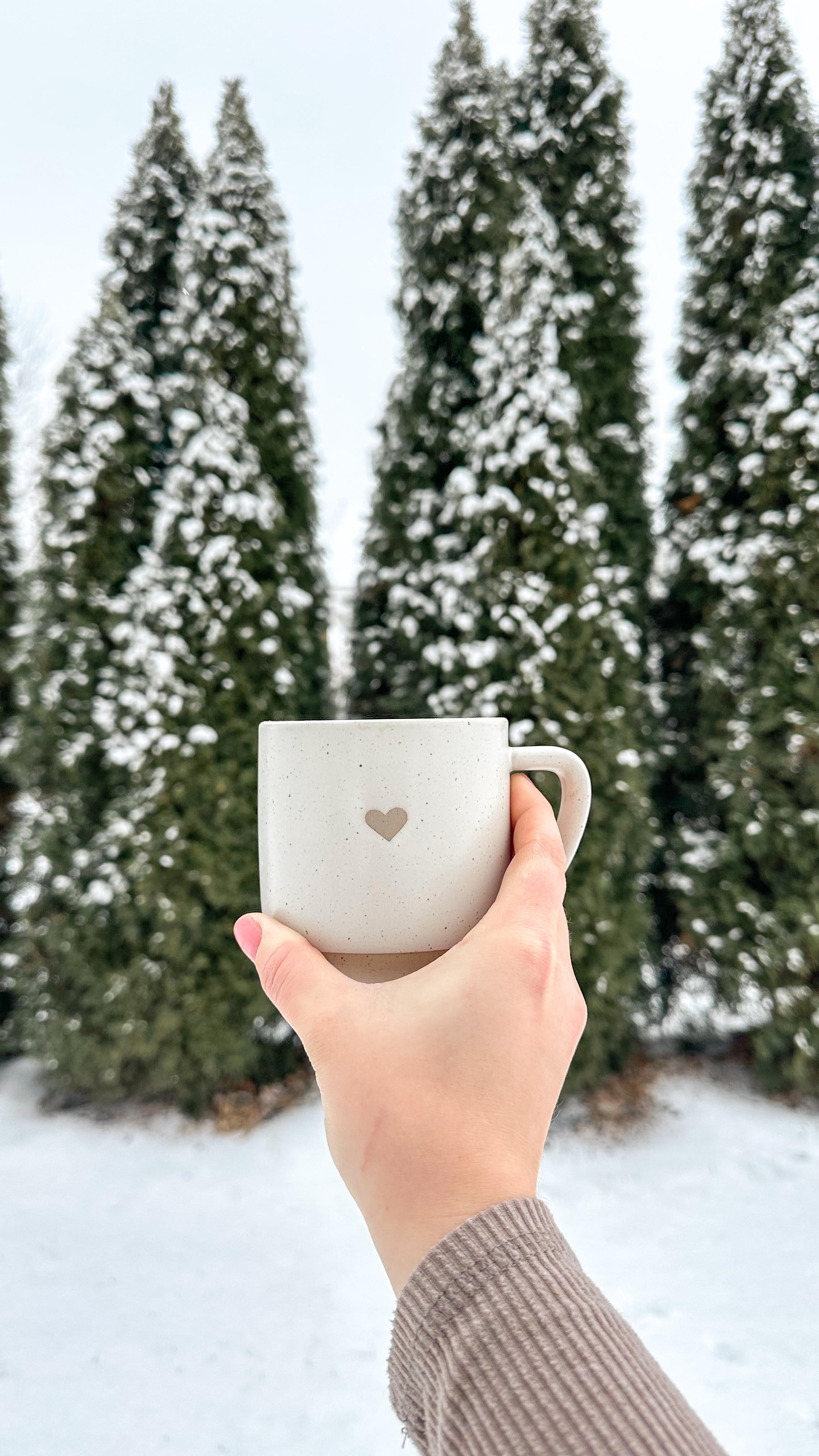 fresh fluffy snow + raspberry mocha 🤎☕️☃️

I love using Monin coffee syrups and my Breville espresso machine to make my daily latte. My espresso machine was a Christmas gift FIVE years ago, and has been our most loved kitchen appliance! ☺️ Truly, they make the best gift! If you need a Valentine gift that goes beyond a dozen roses, this would be the best way to say, “I LOVE YOU” to the coffee lover in your life! 🤍

#LTKHome #LTKGiftGuide #LTKSeasonal