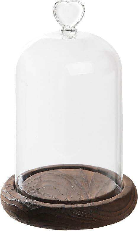 7 inch Mini Clear Glass & Wood Cloche Bell Jar Centerpiece/Tabletop Display Case w/Heart Handle | Amazon (US)