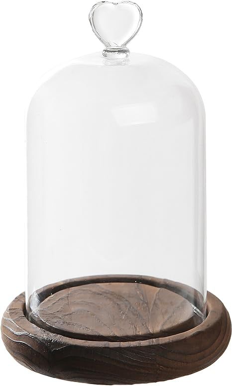 7 inch Mini Clear Glass & Wood Cloche Bell Jar Centerpiece/Tabletop Display Case w/Heart Handle | Amazon (US)