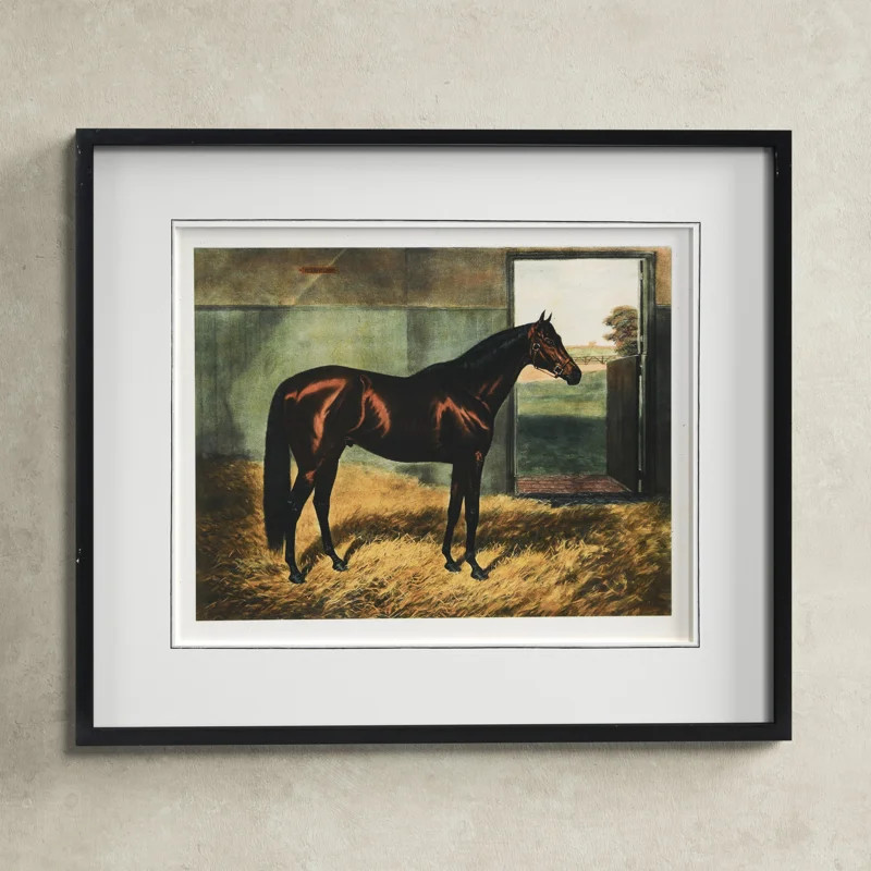 Noriko Horse Framed On Paper Print | Wayfair North America