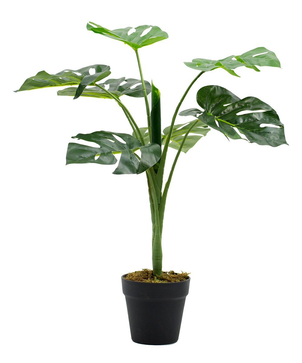 Faux Monstera Plant Decor | Zulily