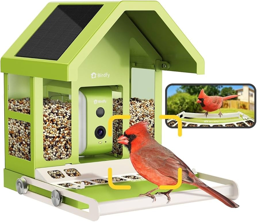 Birdfy Smart Bird Feeder with Camera, Durable Metal Feeders for Outdoors, Auto-Identify & Record ... | Amazon (US)
