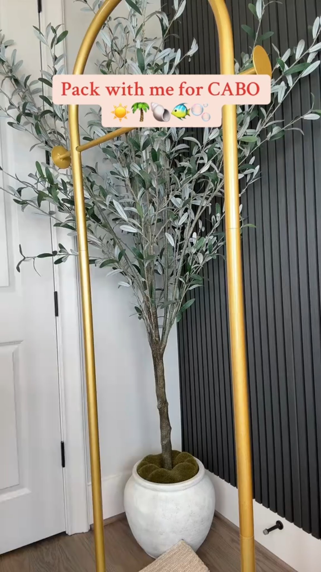 POV: You’re packing for Cabo and every outfit is giving 😮‍💨🌴

Beachy, breezy, and a little extra—just how I like it.

5’2” | 130lbs | 34DD | 25” waist
Most pieces are Amazon + LTK finds 

#CaboLooks #PackWithMe #VacationStyle #AmazonFinds #LTKStyle #PetiteStyle #SummerVibes #OutfitPlanning #BeachOutfits #ResortWear