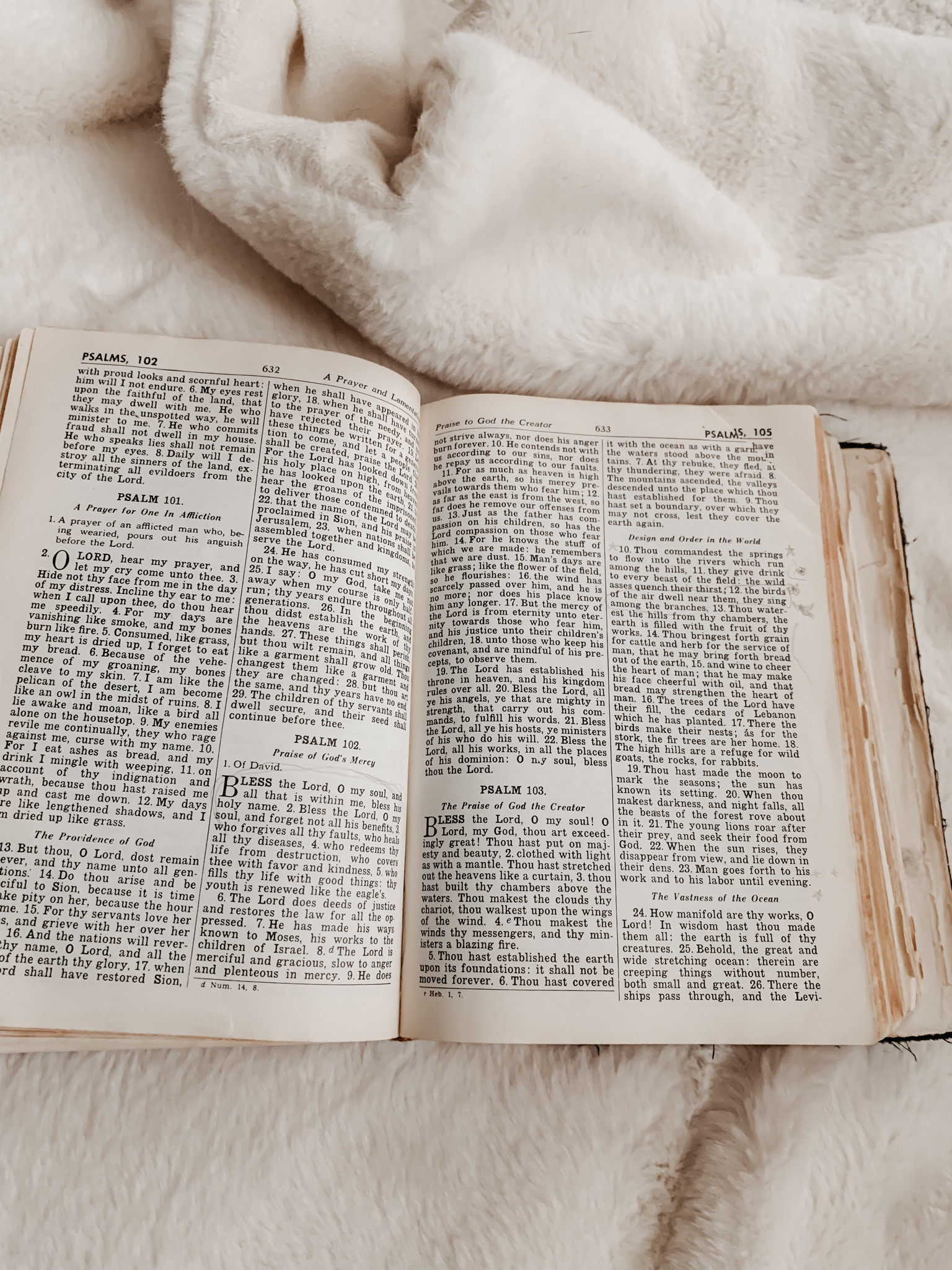 Bible Study for the morning 🤍 
Sharing cozy blankets, coffee mugs, and a journaling Bible today 🤍

#LTKGiftGuide #LTKHoliday #LTKhome