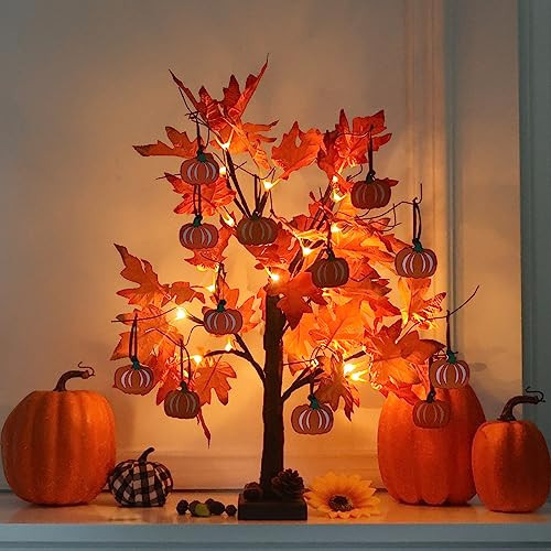 hogardeck Fall Decorations for Home, Thanksgiving Decorations, 24”2FT Lighted Maple Leaves Tree with 24 LEDs & 12 Wood Pumpkin Ornaments, Battery Powered Timer Artificial Trees for Autumn Table Decor | Amazon (US)