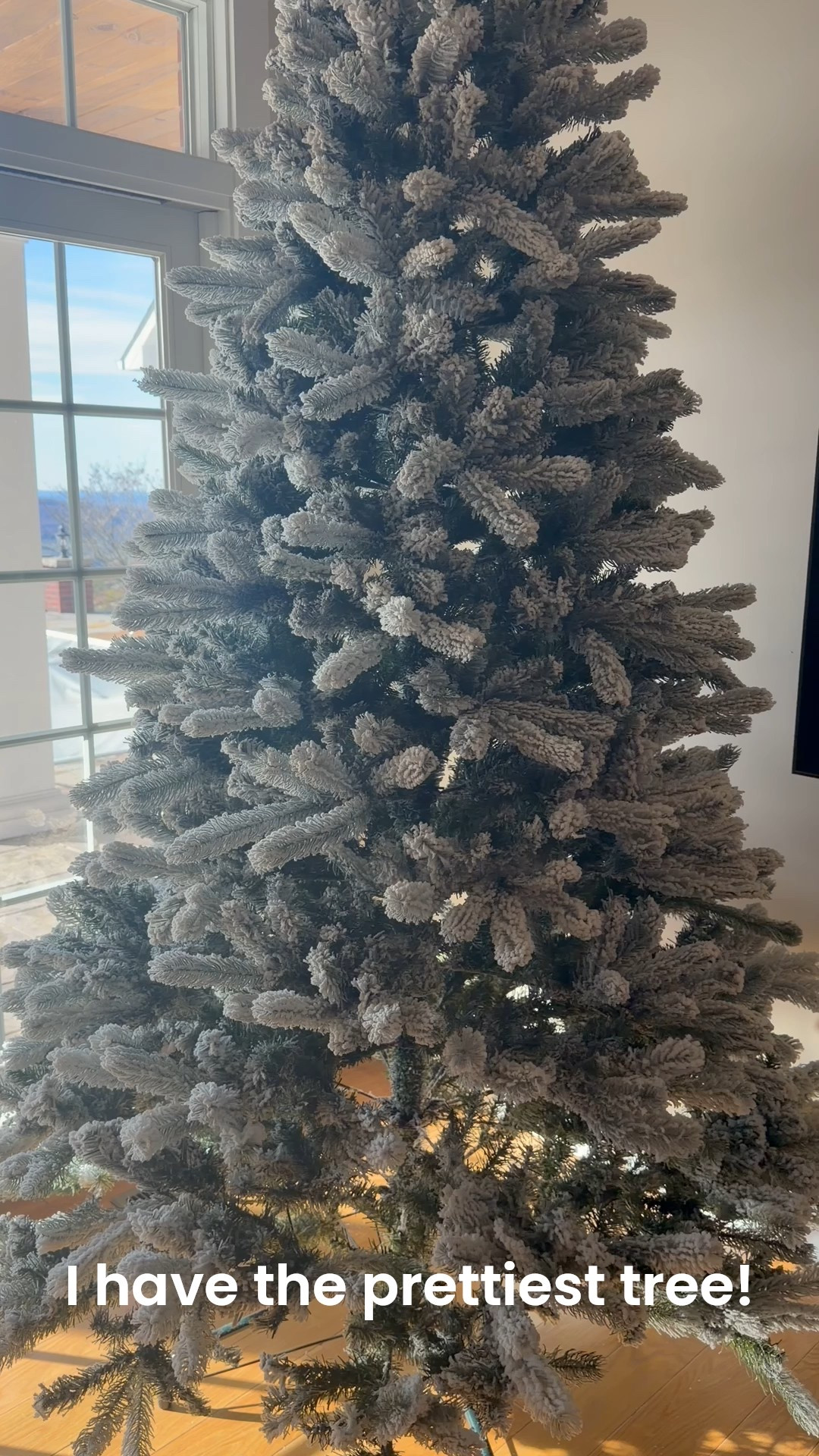 I have the prettiest #kingofchristmas tree this year and I’m so excited about it! It’s on sale for early Black Friday deals- I got the unlit 8 foot and she is GORGEOUS 

#LTKGiftGuide #LTKSaleAlert #LTKCyberWeek