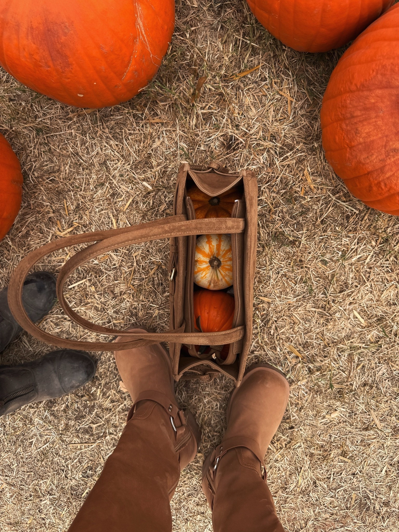 Pumpkin patch details! Brought this @Target bag with me that reminds me of Prada! Sharing details to our Amazon boots as well