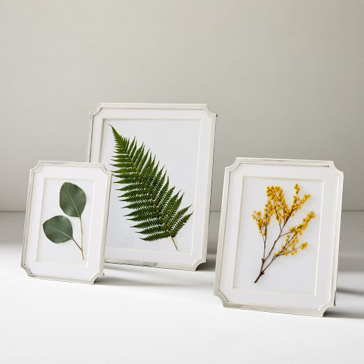 Quatrefoil Metal Frames | West Elm (US)