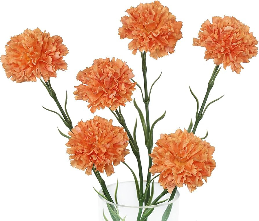 DuHouse 6pcs Artificial Flowers Carnations Latex Carnation Flowers,Fake Carnations with Stems for... | Amazon (US)