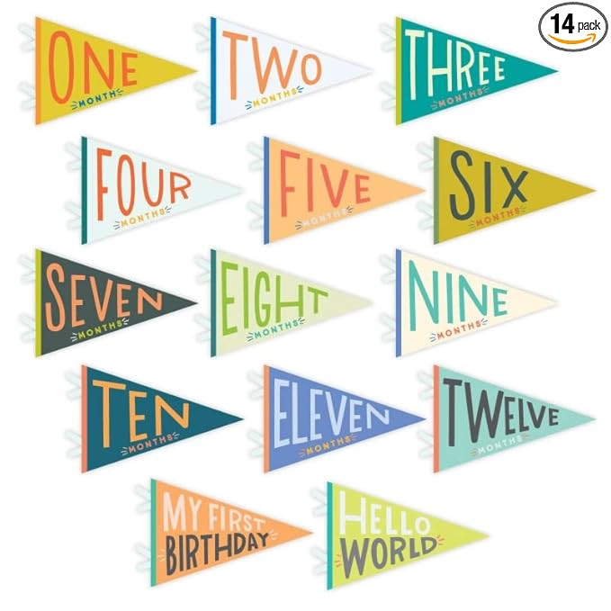 Lucy Darling Petit Milestone Pennants – Baby Monthly Milestone Pennant Flags – Newborn Photo ... | Amazon (US)