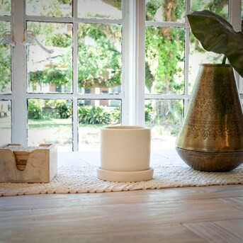 National Plant Network Round 5.0-in W x 5-in H x 5-in D Off-white Ceramic Indoor/Outdoor Planter | Lowe's