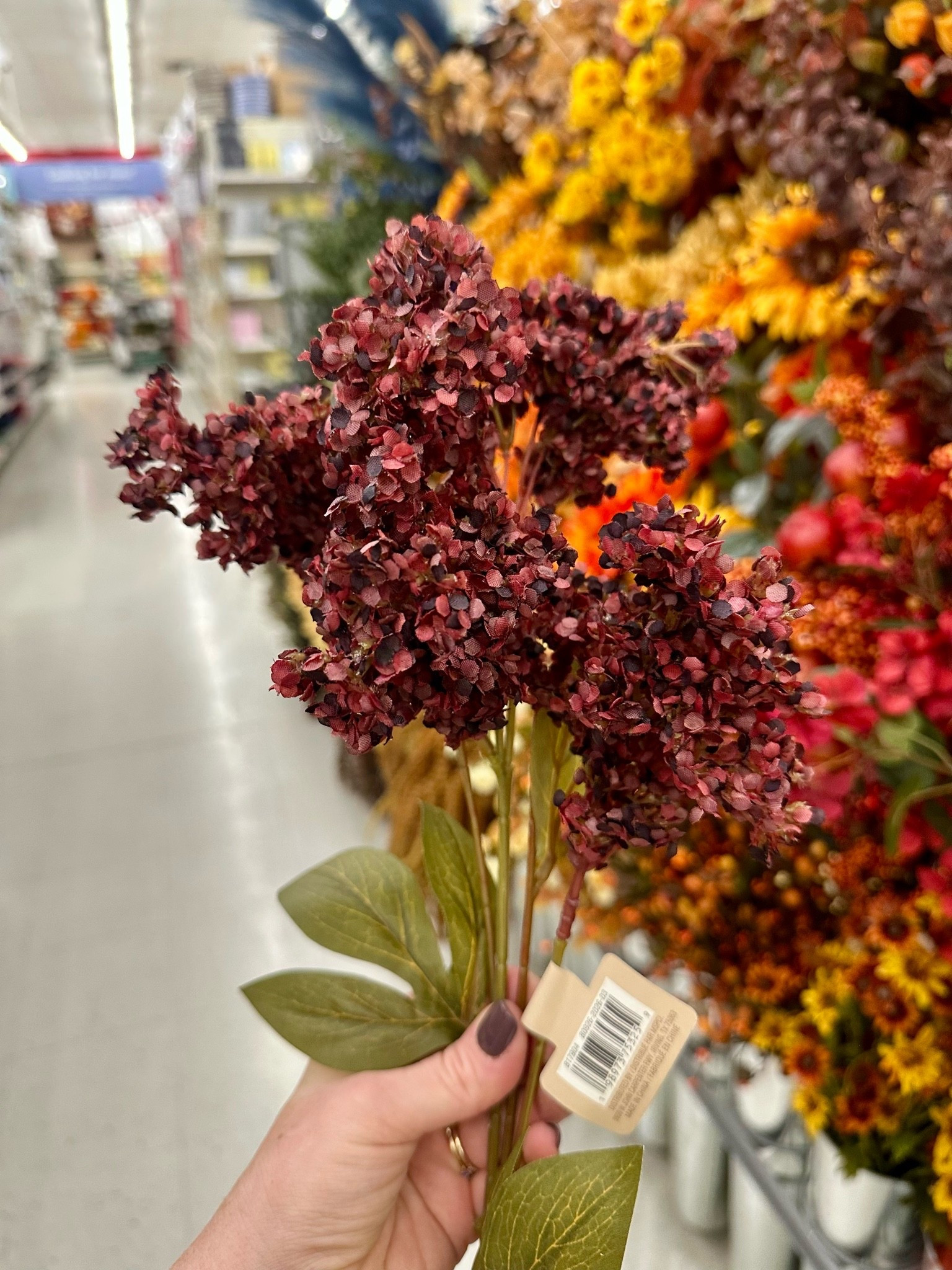 These are so unique and stunning ! Fall floral stems from Micheal’s that resemble hydrangeas . I love this burgundy color !

#LTKSaleAlert #LTKSeasonal #LTKHome