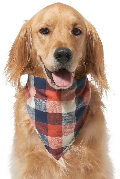 Frisco Multi-Check Plaid Dog & Cat Bandana | Chewy.com