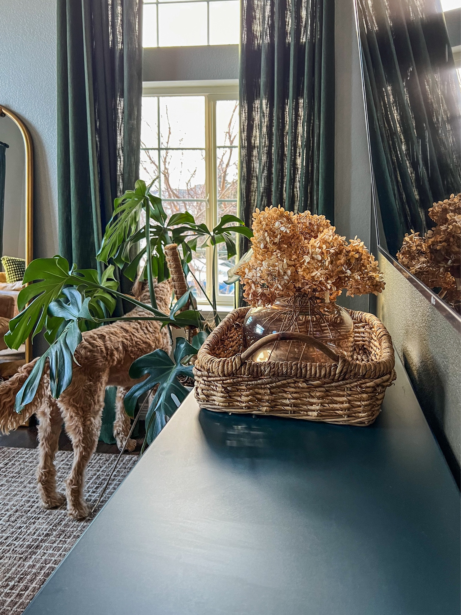 Easy home decor. Winter home decor. Dried florals. Dried hydrangeas. Glass vase. Target home decor  

#LTKhome #LTKSeasonal