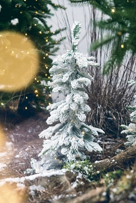 Faux Snowy Pre-Lit Alpine, Mini | Anthropologie (US)