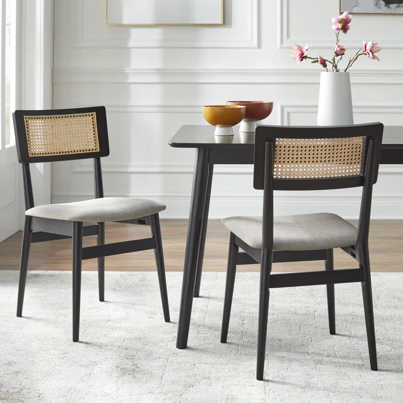 Jordanas Dining Chair (Set of 2) | Wayfair North America