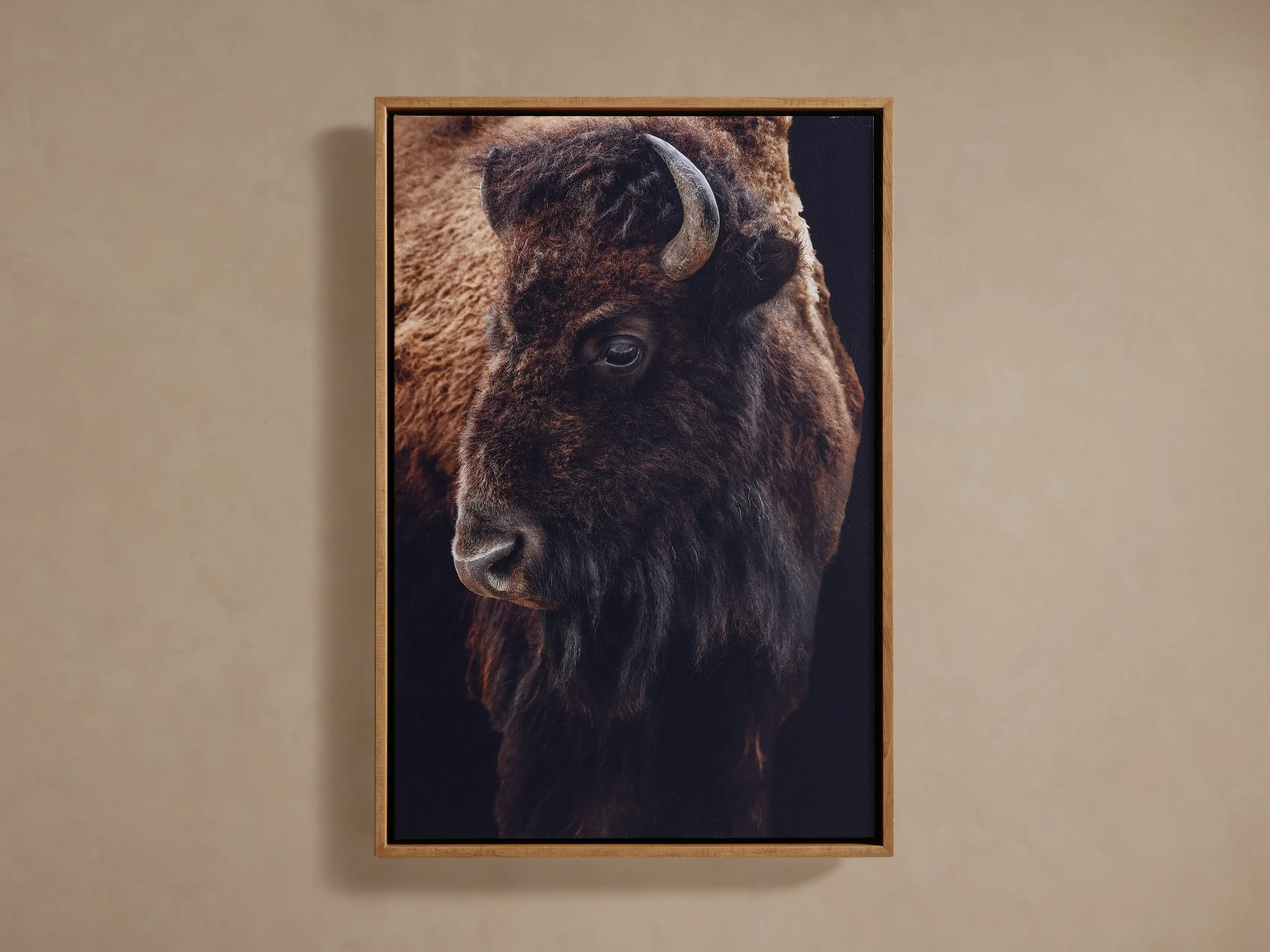 Plains Bison Framed Print | Arhaus