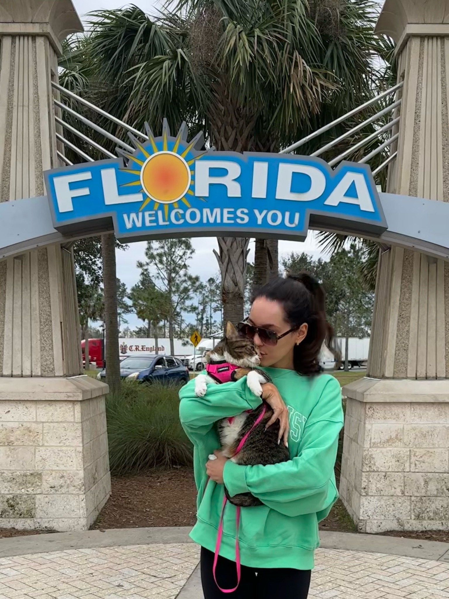 Lulu’s harness
Cat harness
Amazon find

#LTKPets