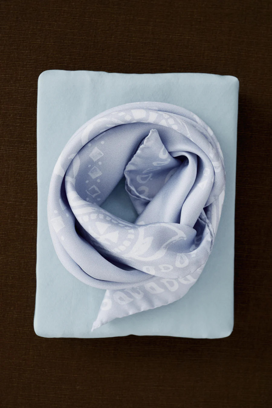 The Silk Bandana | AYR