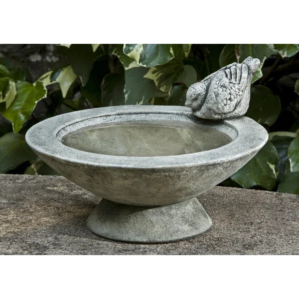Concrete Pedestal Birdbath | Wayfair North America