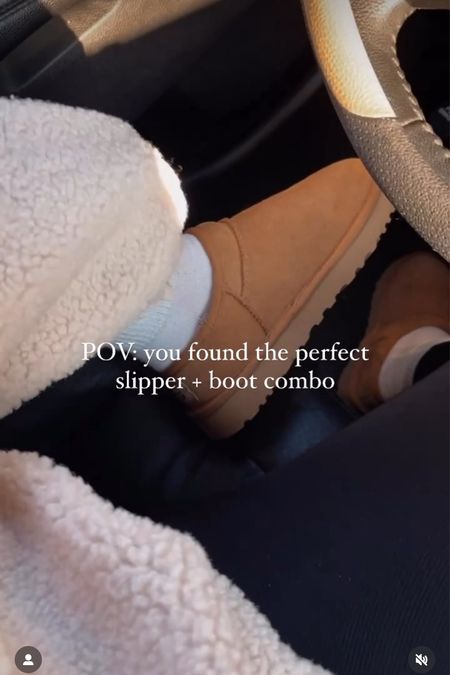 ugg slipper, boots 