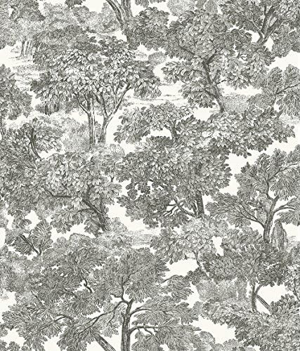 Chesapeake 3115-12542 Spinney Toile Wallpaper, Black | Amazon (US)