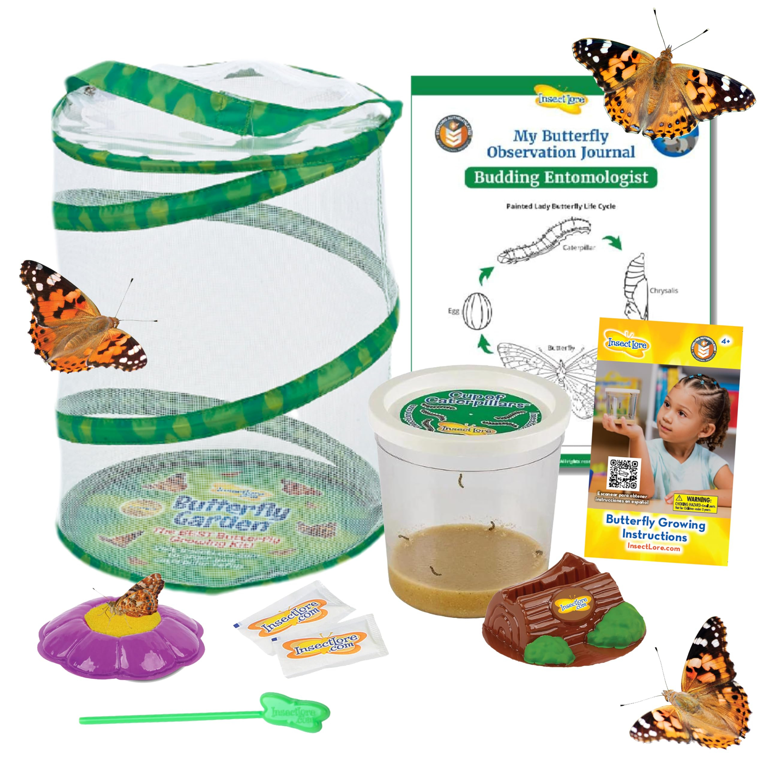 Insect Lore Butterfly Garden with 5 Live Baby Caterpillars - STEM Activity Journal, Habitat, Chry... | Amazon (US)