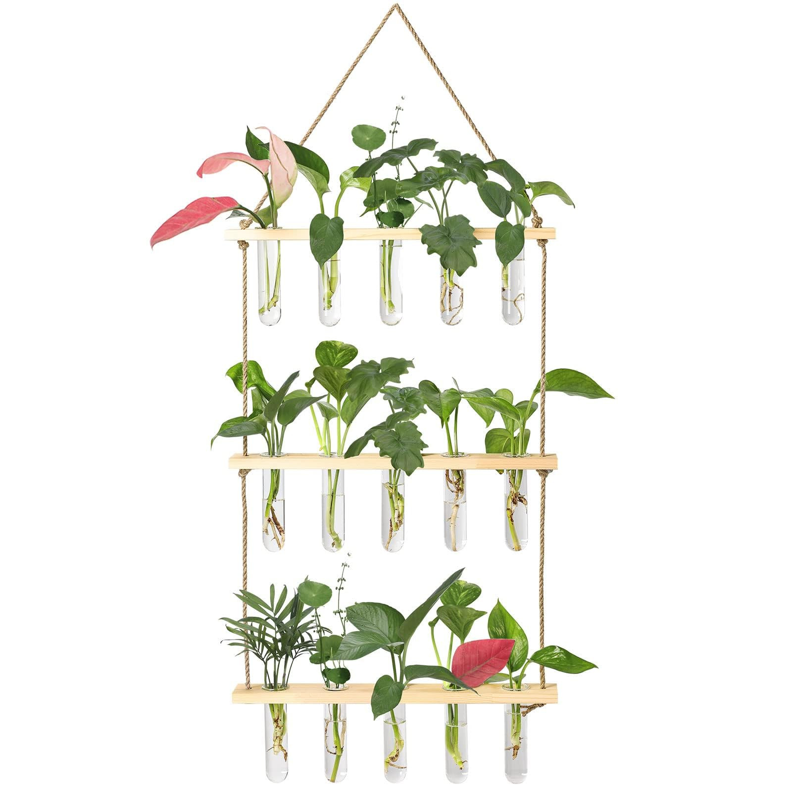 XXXFLOWER Wall Hanging Propagation Station with Wooden Stand 5 Glass Test Tubes 3 Tiered Planters... | Amazon (US)