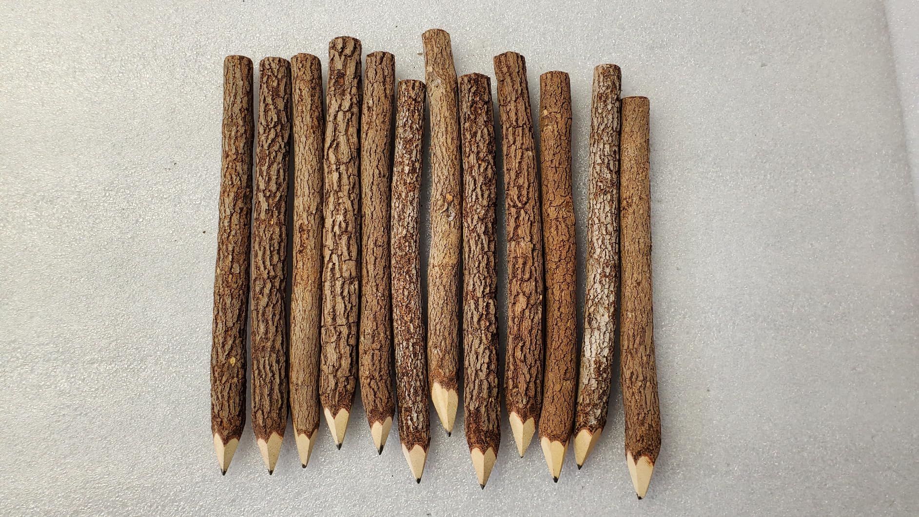 BSIRI Pencil Wood Graphite Wooden Tree Rustic Twig Pencils Birch of 12 Camping Lumberjack Decorat... | Amazon (US)