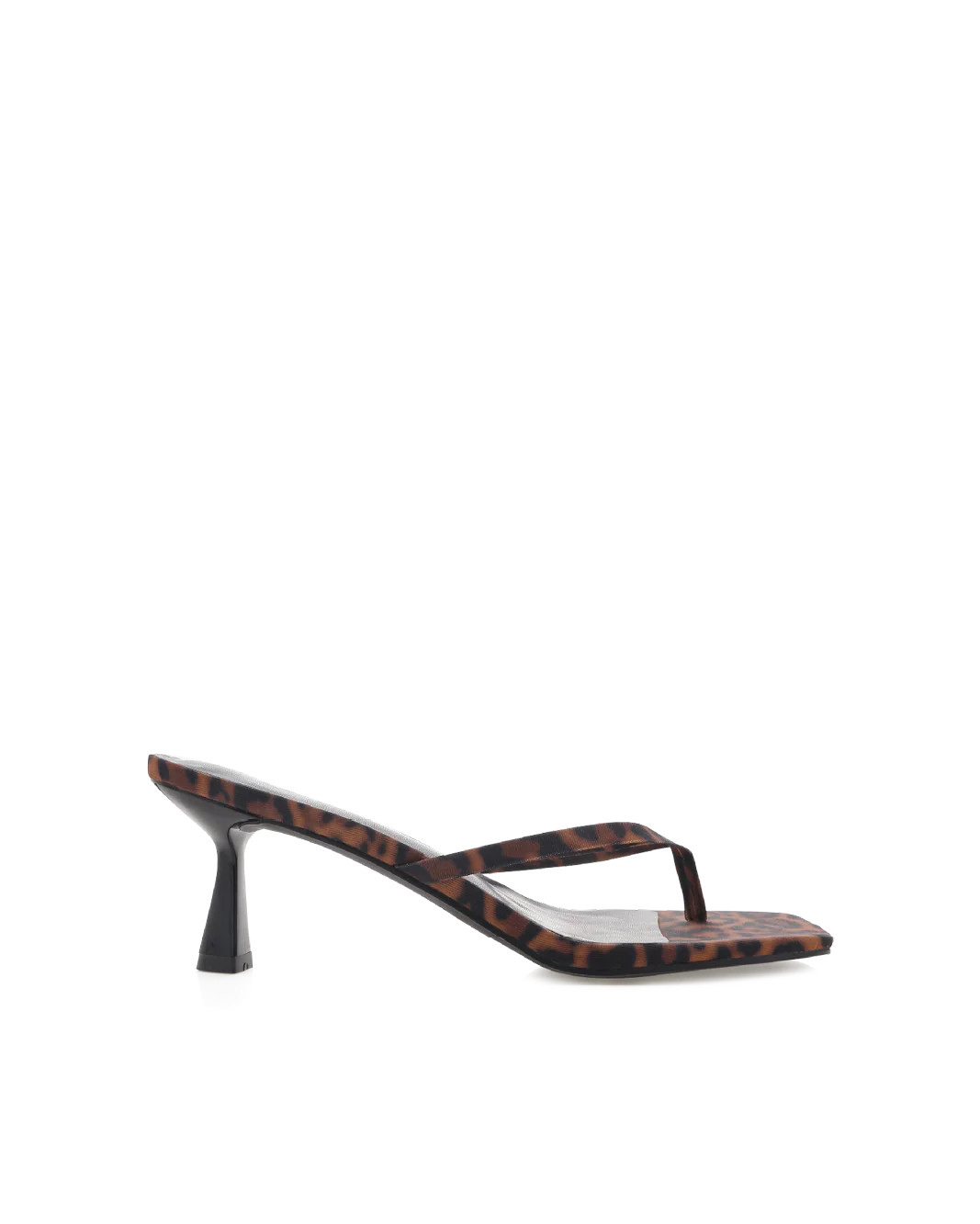 XAMI - LEOPARD | Billini (ANZ)