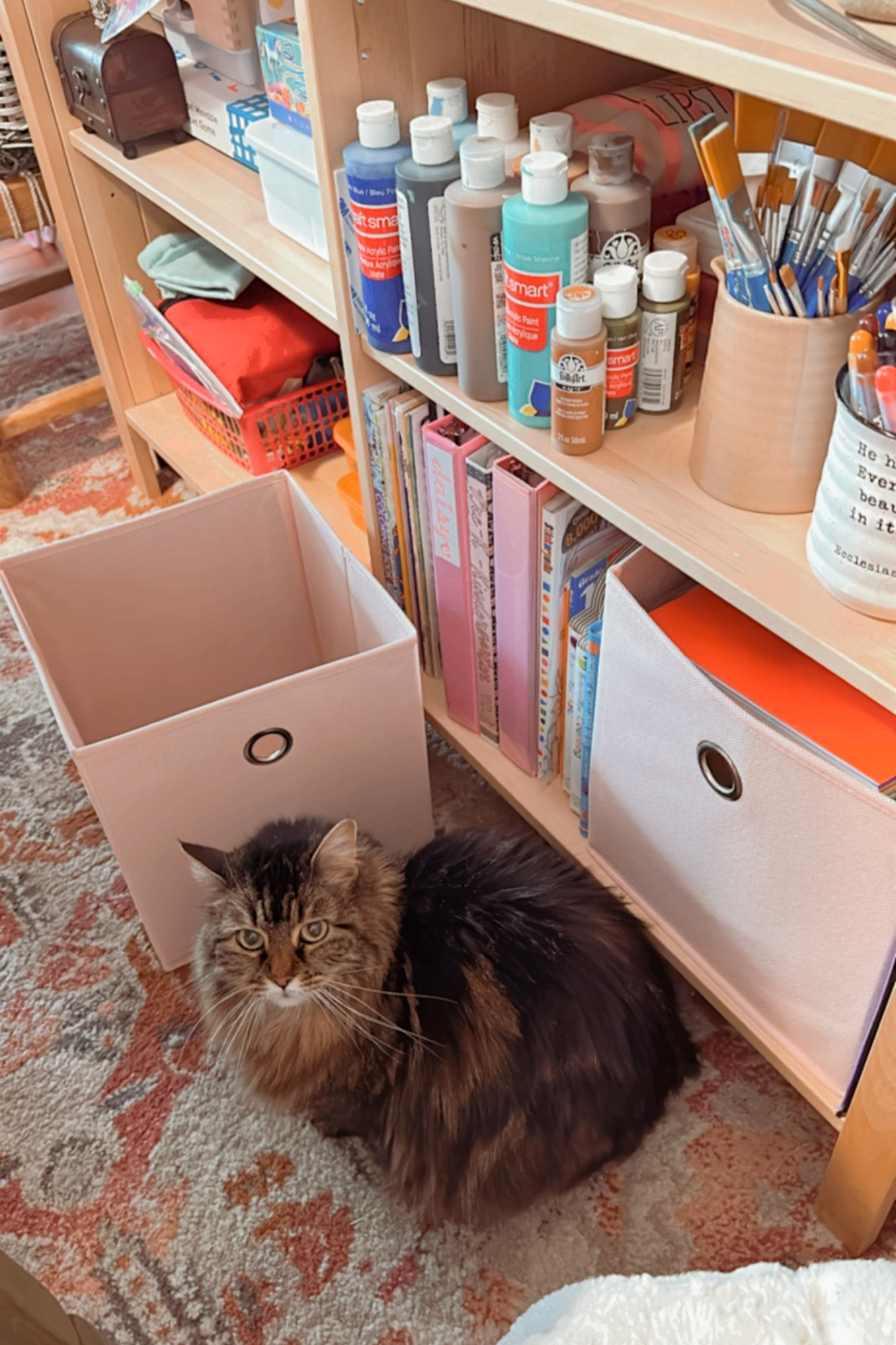 These organizing bins are so helpful around our house. And are on sale now. 4$ a piece online. 

#LTKSaleAlert #LTKHome #LTKBacktoSchool