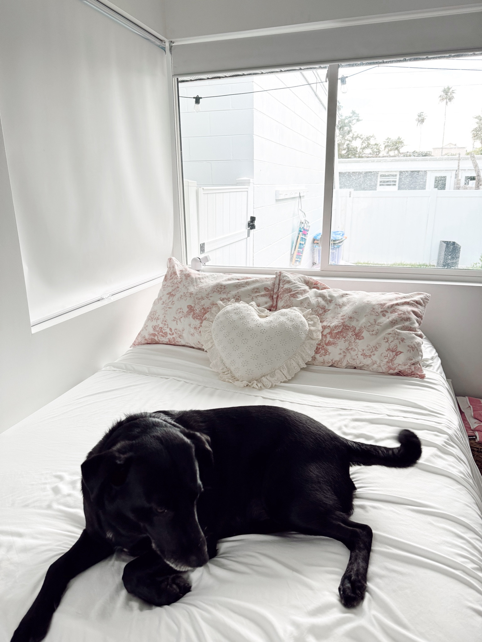 new sheets & I am obsessed 

#LTKHome #LTKSeasonal