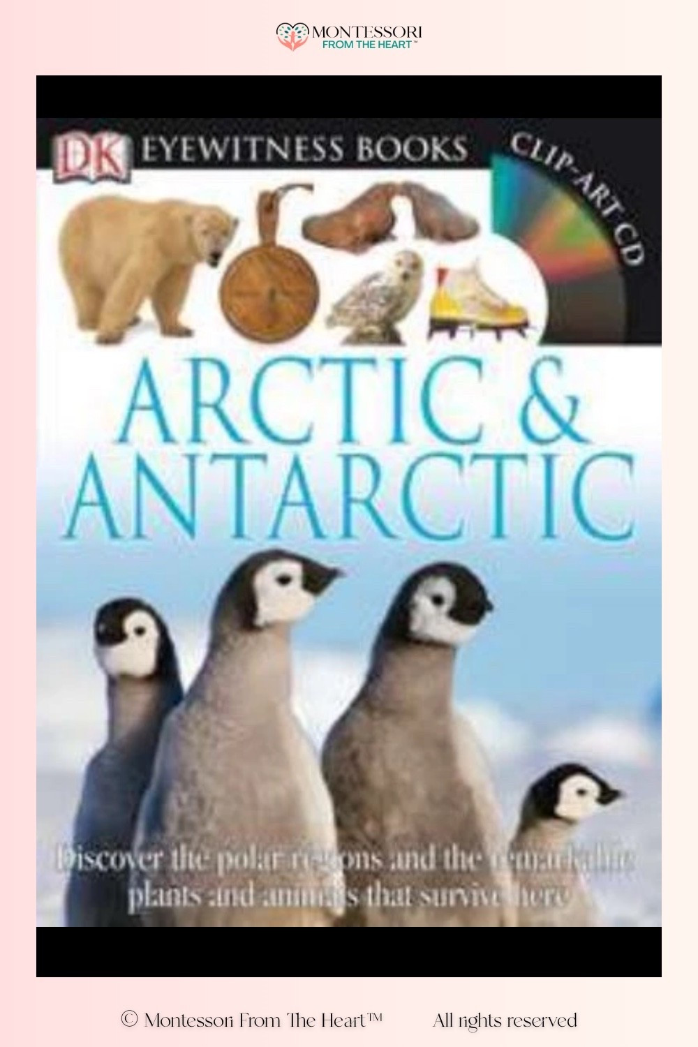 Arctic & Antarctic Book for Kids

#LTKKids #LTKstorytime #LTKHome