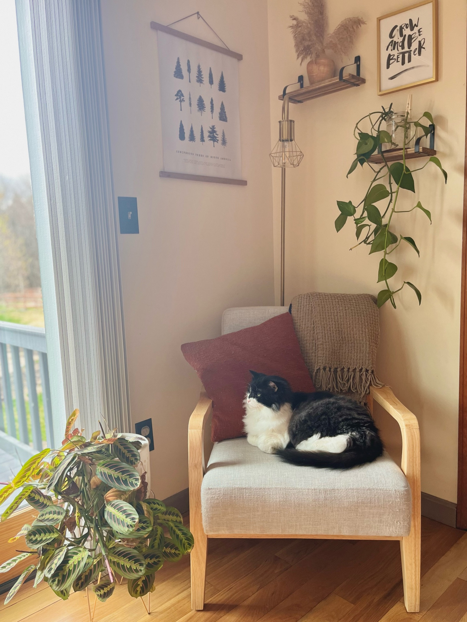 I linked what I could in my little corner of my living room 

#LTKhome #LTKsalealert #LTKstyletip