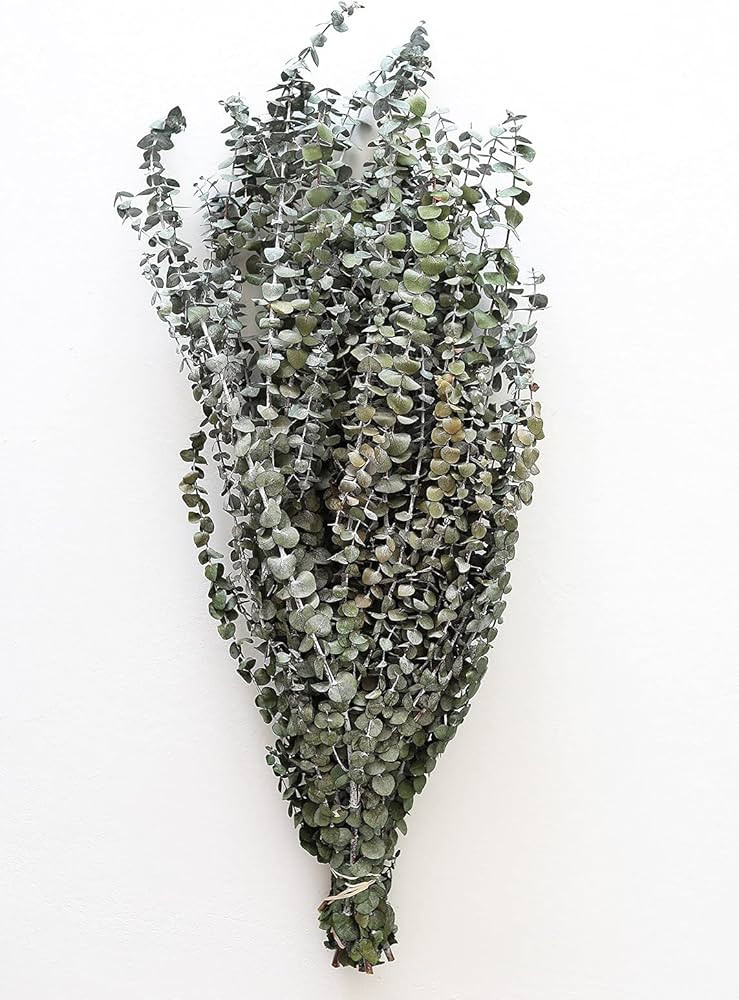 Afloral Preserved Spiral Eucalyptus in Sage Green 1lb - 26" - 32" | Amazon (US)
