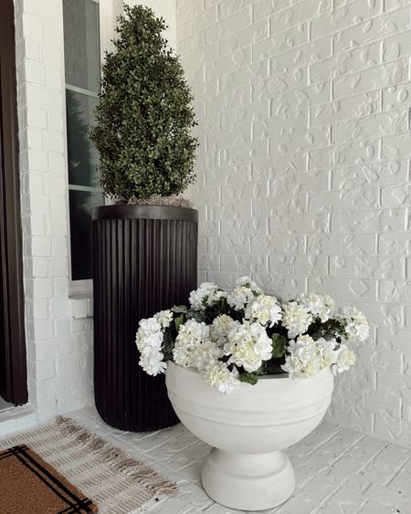 SPRING DECOR ✨

home idea! @afloral was kind enough to gift me these beautiful faux flowers and they look SO incredibly realistic! These are just perfect for my covered front door area and I love them!

details here:
+ put them in a pedestal planter bowl
+ smaller vase inside for shape
+ could also use floral foam inside for added height if you have on hand 
+ style of floral: Artificial Indoor/Covered Outdoor Geranium Bush 
+ UV treated so it doesn’t fade either 🤗

I’ll have these and more Afloral flowers linked in my bio! What do you think of this combo? #afloral 



#LTKhome #LTKfindsunder100 #LTKfindsunder50