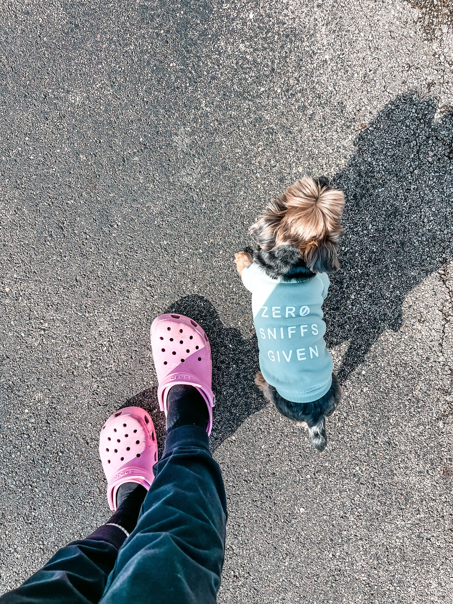 Walking Gary🐶
- dog spring clothing, sweaters, jackets
- platform crocs - spring sandals 
- dog Easter outfit
#ltkunder50 #ltkunder100 #ltkfind

#LTKFestival #LTKshoecrush #LTKSeasonal