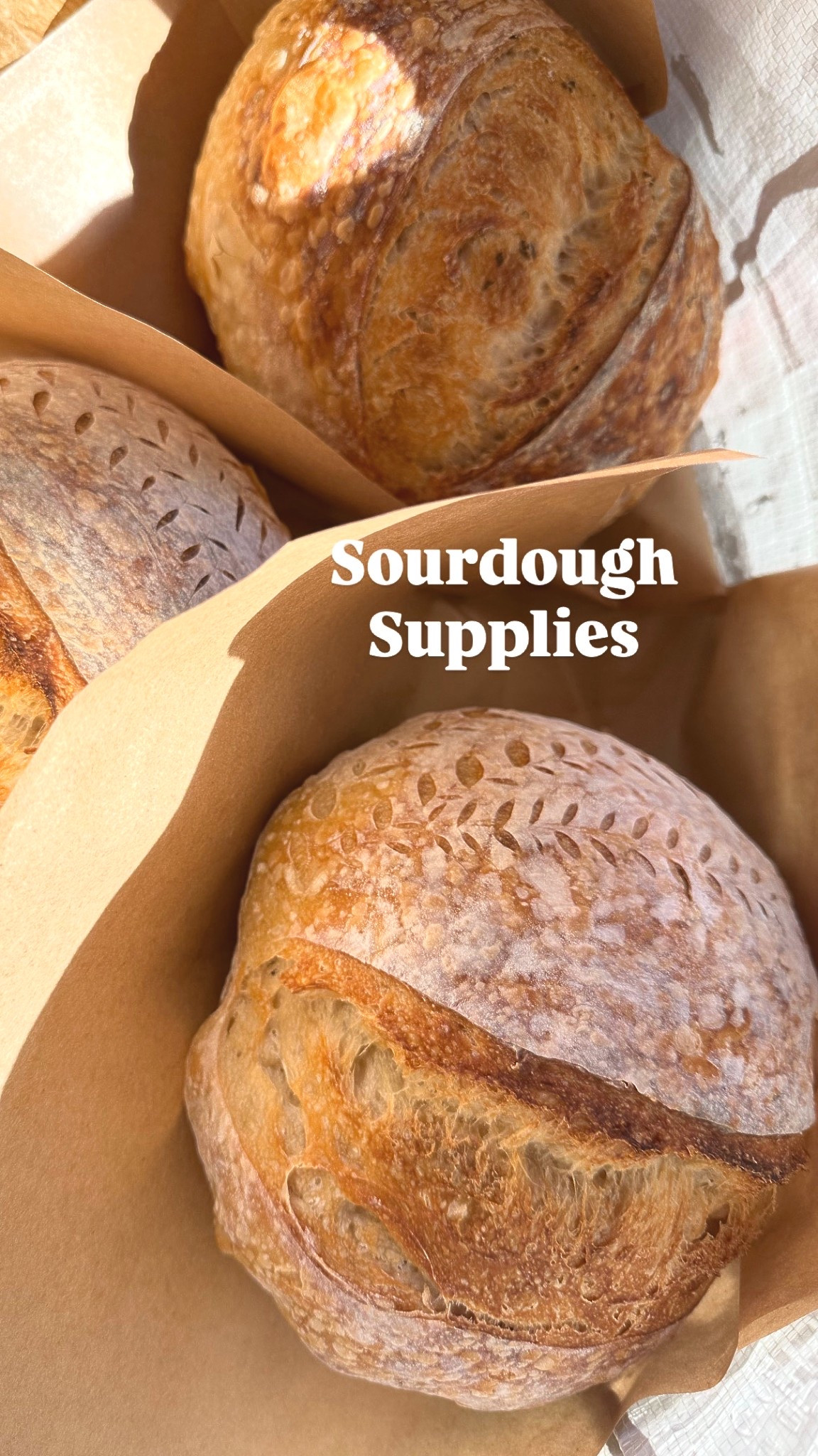 Sourdough supplies *updated*

#LTKfoodie #LTKSeasonal #LTKHoliday