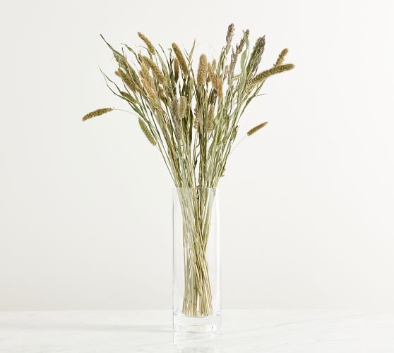 Dried Millet and Wild Grass Bundle | Pottery Barn (US)