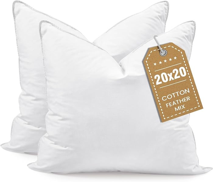 BHZ Throw Pillows 20x20 Euro Pillow Inserts Set of 2, Down Feather Alternative Pillow Inserts, De... | Amazon (US)