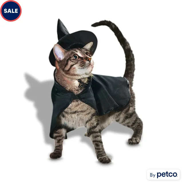 Bootique Witch 2-Piece Cat Halloween Costume, X-Small | Petco