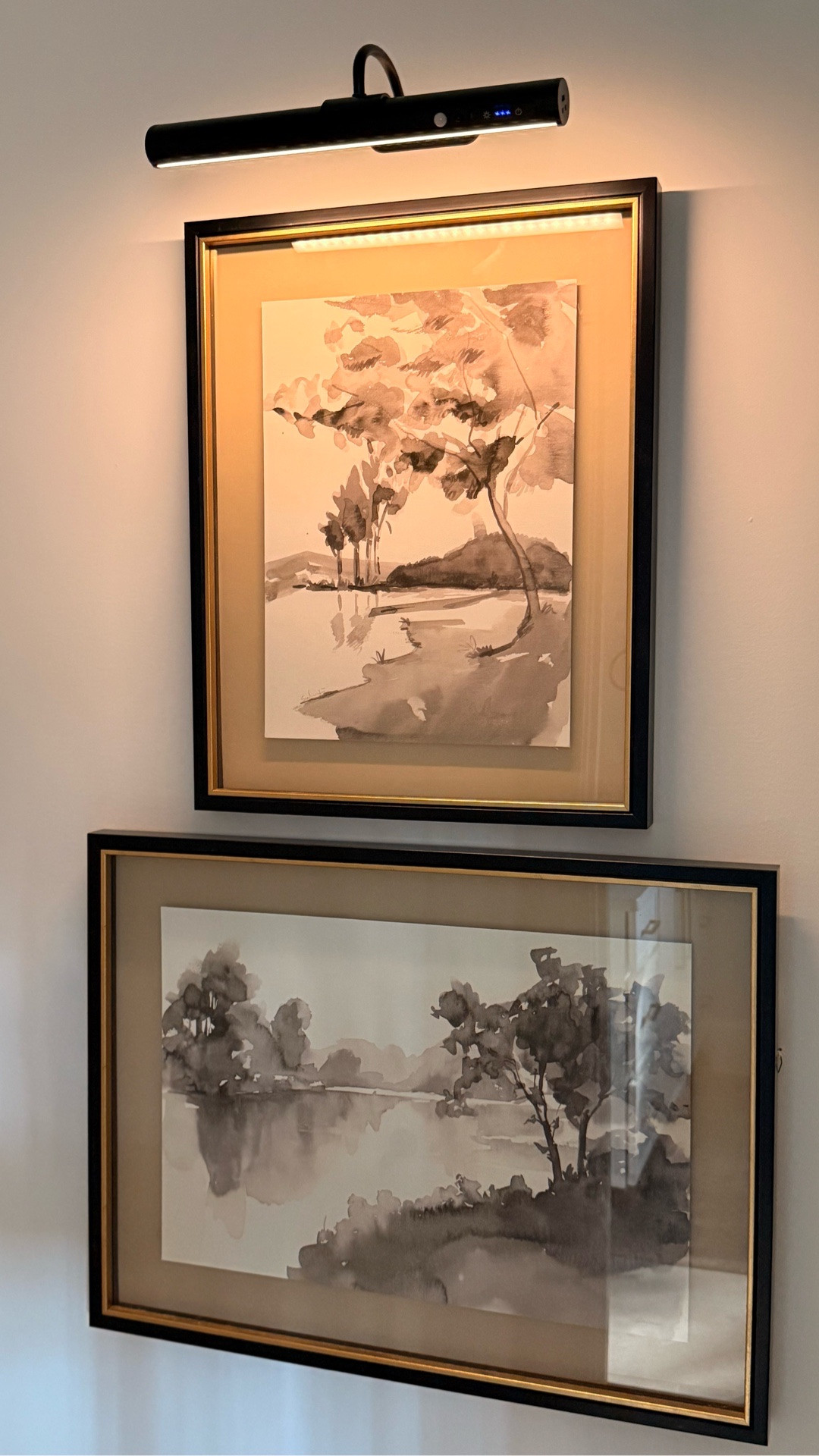 $28 Amazon rechargeable picture light that senses motion and comes in so many different color finish options 🫶🏻 

#LTKHome