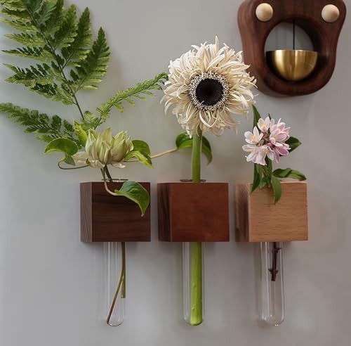 Mini Vase Magnets for Fridge,3PCS 3D Magnetic Wooden Wall Vase Holders with Test Tube, Magnetic A... | Amazon (US)